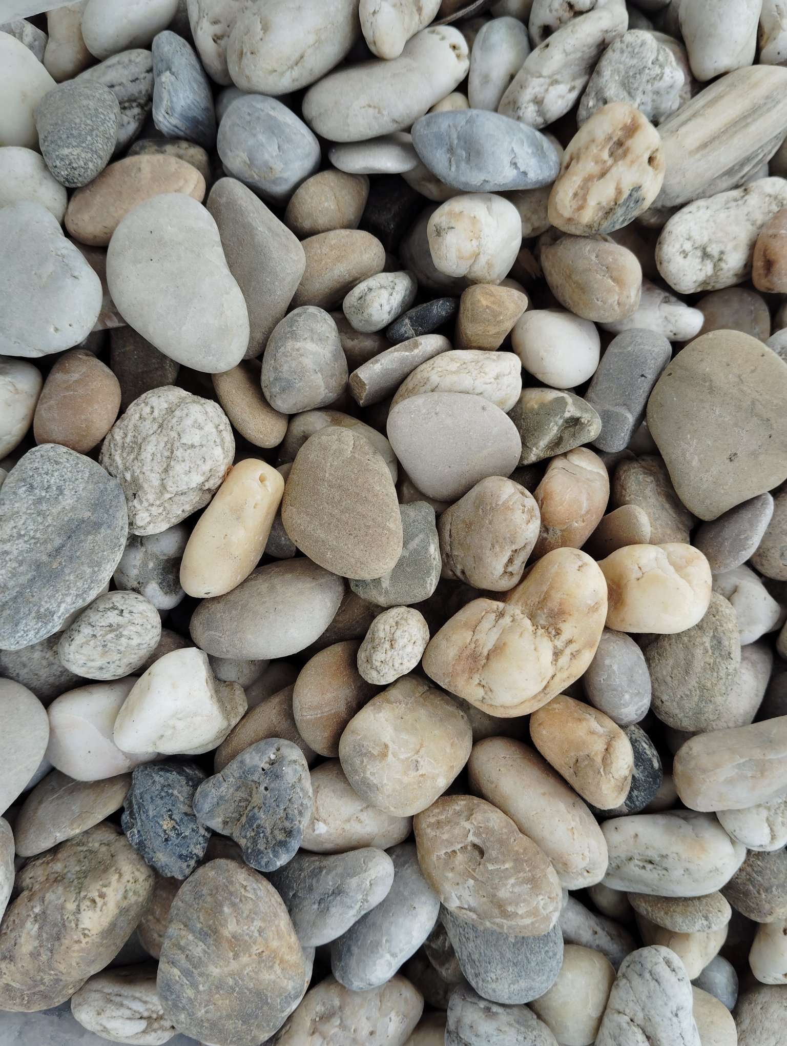 Říční oblázky frakce 16–22 bílo-žluté stavebniny MI-KAM s.r.o. Starý Hrozenkov – větší oblázky vhodné pro zahradní architekturu a drenáže