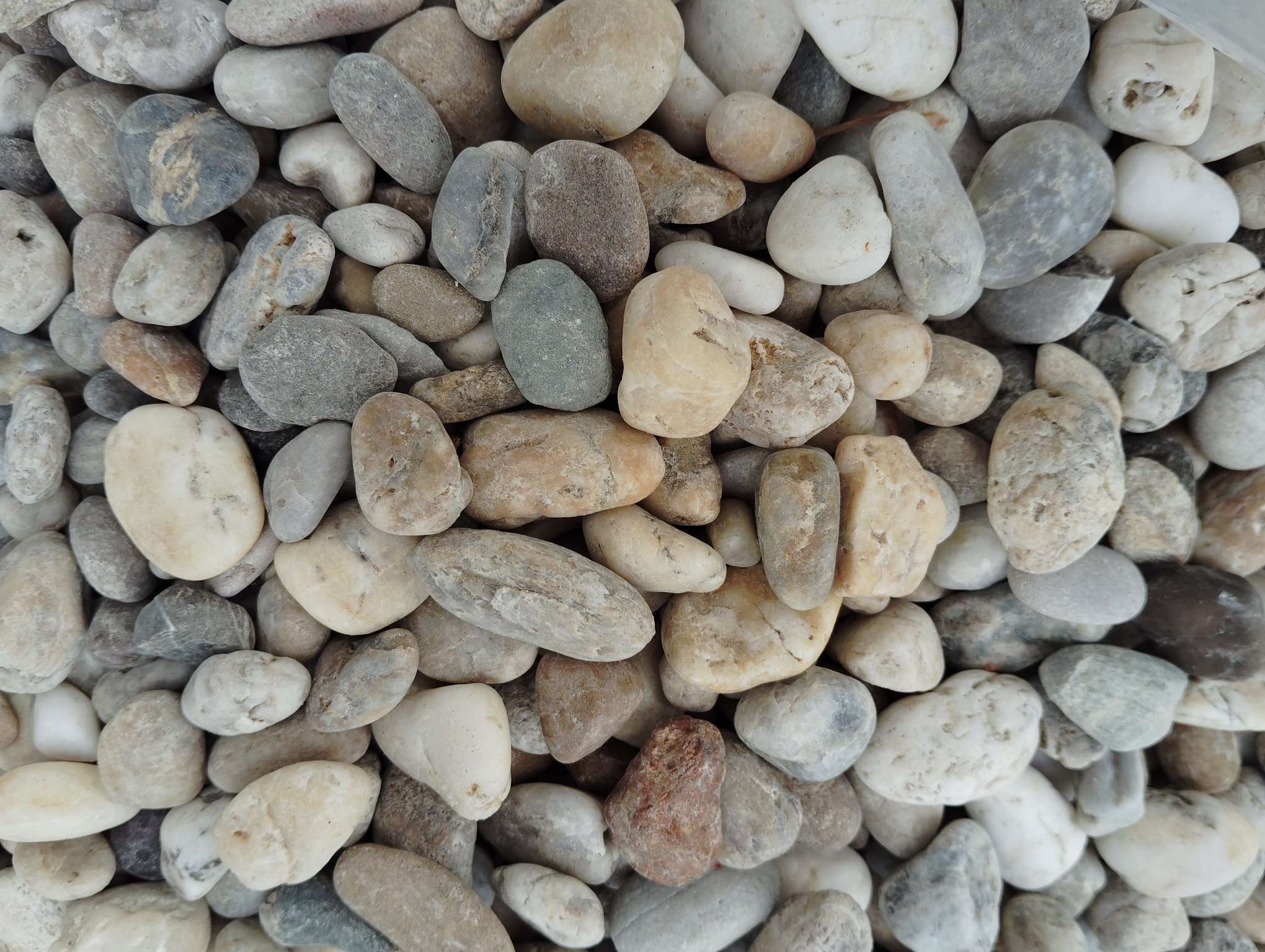 Říční oblázky frakce 8–16 bílo-žluté stavebniny MI-KAM s.r.o. Starý Hrozenkov – přírodní kamenivo pro okrasné plochy a terénní úpravy